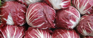 radicchio