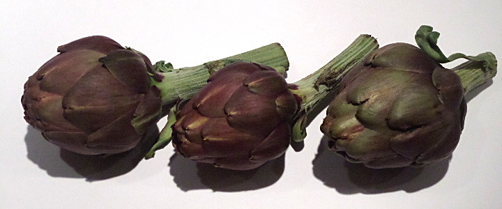 artischocken