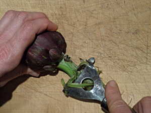 artischocken zubereiten 01