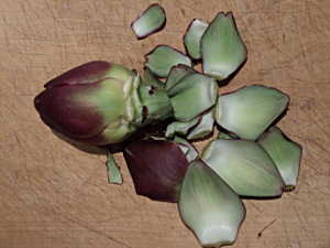 artischocken zubereiten 05