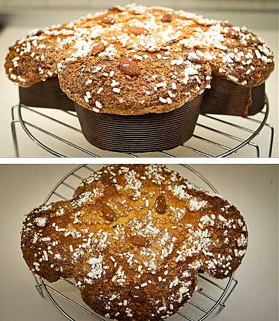 colomba di pasqua