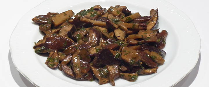 funghi porcini trofolati