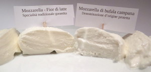Mozzarella