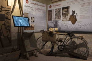 Ausstellungssaal zum Beruf des Schweineschlachters&nbsp;&nbsp;&nbsp;-&nbsp;&nbsp;&nbsp;© Museum (E. Fornaciari)