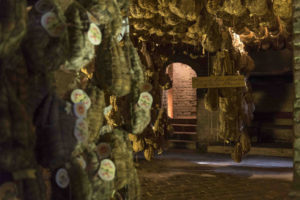 Reifender Culatello   -   © Museum (E. Fornaciari)