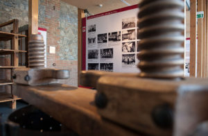 Ausstellungssaal&nbsp;&nbsp;&nbsp;-&nbsp;&nbsp;&nbsp;© Museum (L. Rossi)