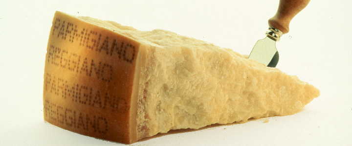 parmesan