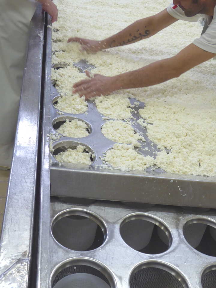 befüllen der formen