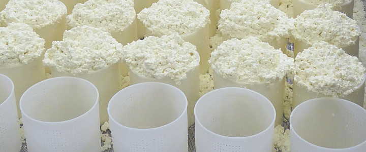 Pecorino-Herstellung