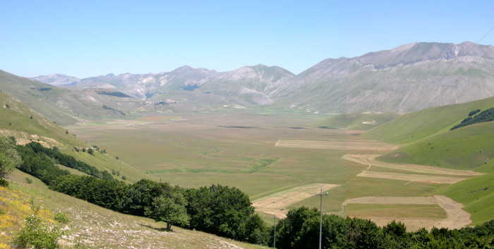Linsen aus Castelluccio