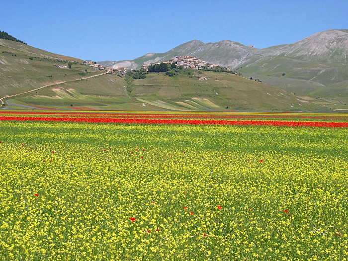 Linsen aus Castelluccio