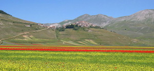 Linsen aus Castelluccio