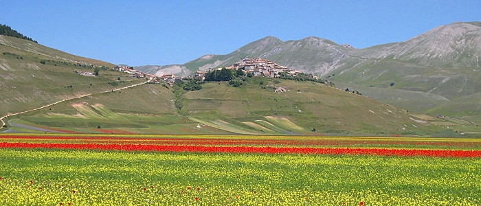 Linsen aus Castelluccio