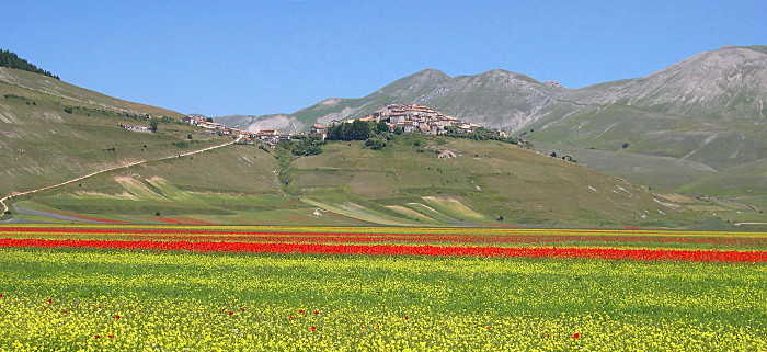 Linsen aus Castelluccio