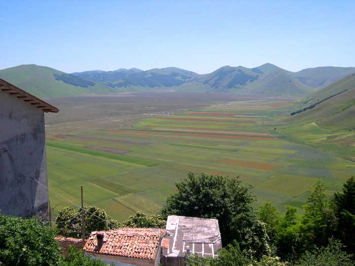 Linsen aus Castelluccio