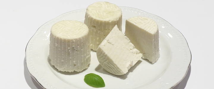ricotta salata selbst gemacht